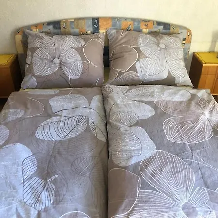 Gemutliches Ferienhaus Im Herzen Der Alpen Apartment *